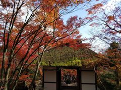 -常寂光寺
