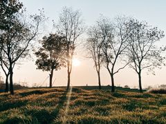 -上海山野camping·户外天幕烧烤·团建拓展营地