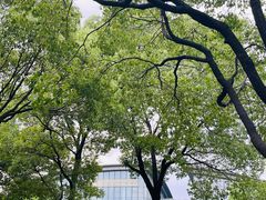 -吴淞炮台湾湿地森林公园烧烤区