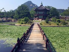 -新世界百货(明洞总店)