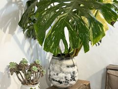 -铁炉咖啡(河下古镇店)