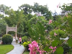 -晓港公园