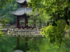 -忠山公园