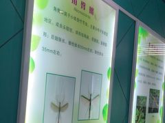 -上海昆虫博物馆