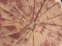 -芭夯兔·兔肉汤锅(新都店)