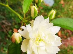 -人民公园(罗湖区)