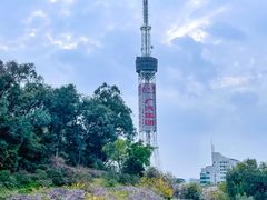 -广州雕塑公园