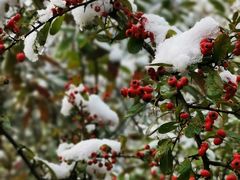 -重庆云阳龙缸景区