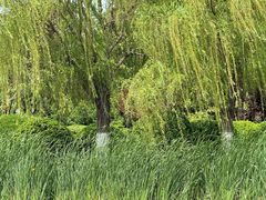 -云龙湖旅游景区