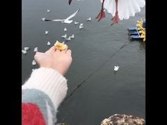 -大理洱海