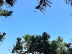 -刘公岛景区