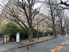 -帝京日语(春熙路旗舰校区)