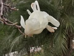 -云溪植物园