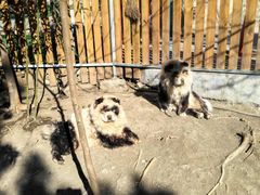 -峄山风景名胜区