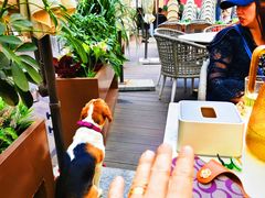 -日本大使馆-新闻文化中心