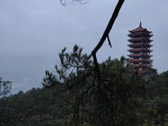 -缙云山景区