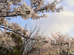 -苏州独墅湖世尊酒店