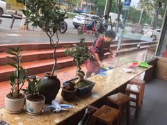 -向阳坊(西桥店)