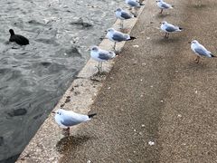 -海德公园