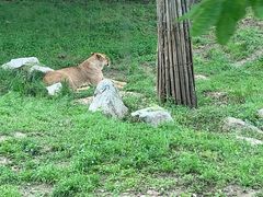 -西安秦岭野生动物园