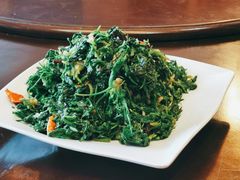 拌野菜-都江堰石锅鱼