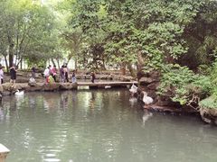 -兰亭风景区