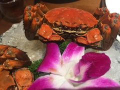 -如轩·海鲜砂锅粥·潮汕菜(海珠店)