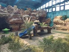 -石家庄市动物园