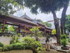 -碧江金楼