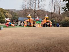 -白马涧龙池景区