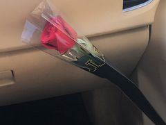 -海底捞火锅(群光广场店)