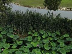 -北京麋鹿生态实验中心