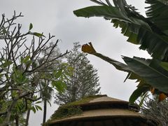 -厦门日月谷温泉渡假村