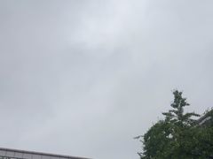 -岳阳东站