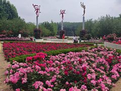 -大望京公园