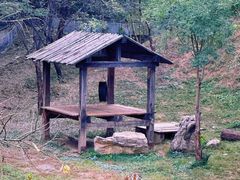 -石家庄市动物园