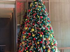 -嘉定凯悦·咖啡厅