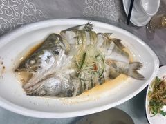 清蒸雪山龙鱼-城北食府(枫林店)