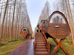 -黄海国家森林公园