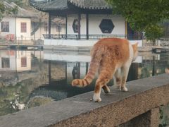-西园戒幢律寺