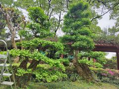 -南山植物园