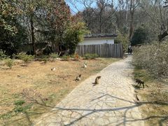 -南山风景名胜区