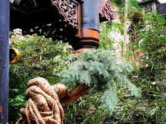 -鱼桥巷·美学川菜