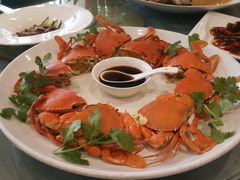 -莆鑫海鲜城(浏河店)