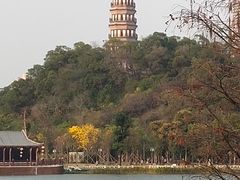 -顺峰山公园