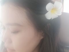 -亚龙湾国际玫瑰谷