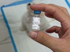 -嘉馨宠物医院·CT影像转诊·心脏科·犬猫全科诊疗中心(下沙大学城院区)