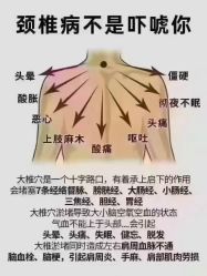-薇薇安花系SPA