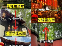 -成都大熊猫繁育研究基地