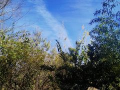 -七彩云南古滇温泉山庄
